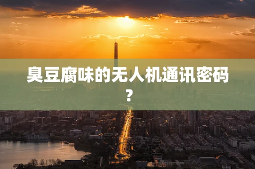 臭豆腐味的无人机通讯密码？