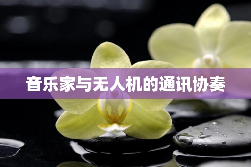 音乐家与无人机的通讯协奏