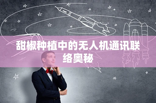 甜椒种植中的无人机通讯联络奥秘
