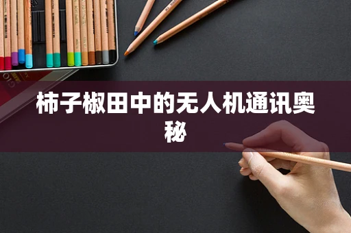 柿子椒田中的无人机通讯奥秘