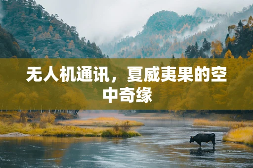 无人机通讯，夏威夷果的空中奇缘