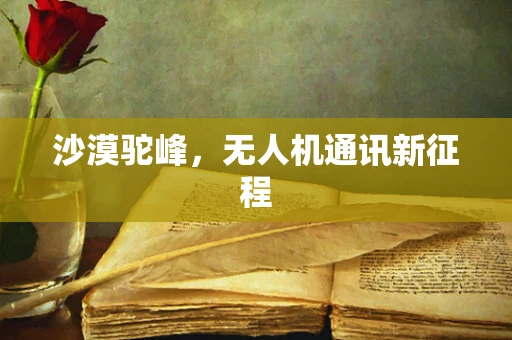 沙漠驼峰，无人机通讯新征程
